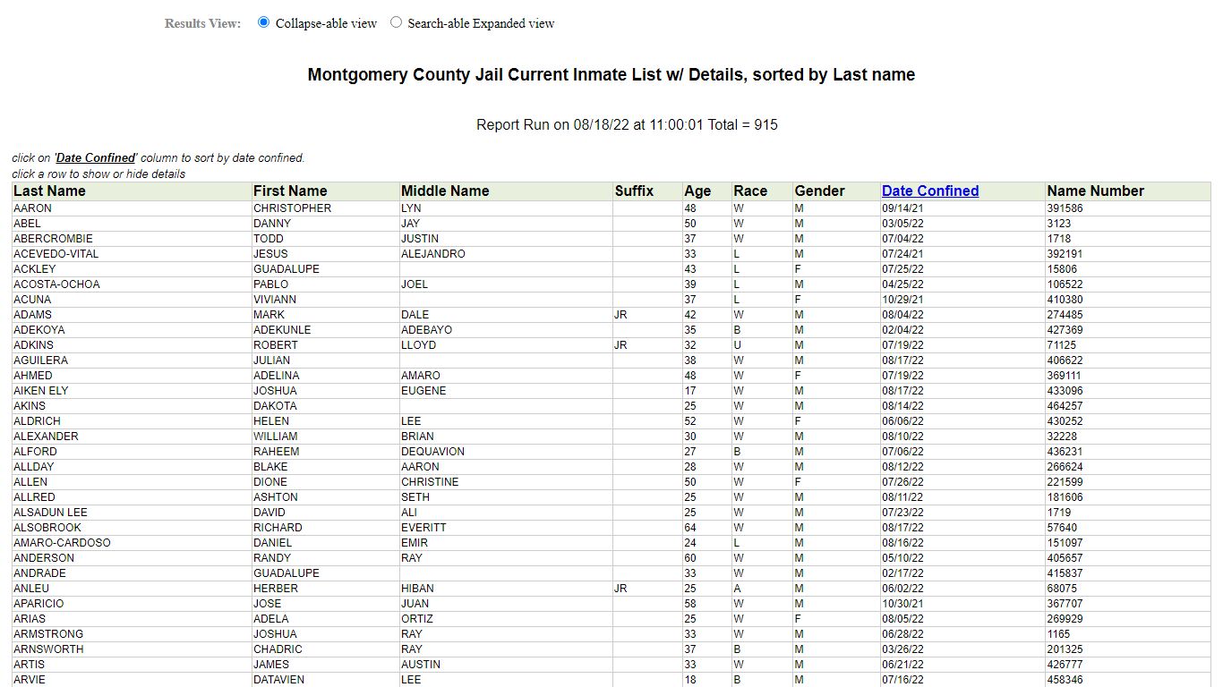 Jail Roster